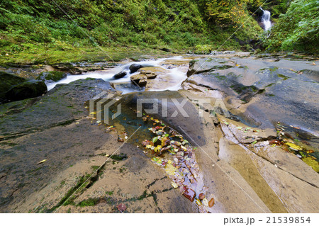 秋保大滝の上流に位置する二口渓谷せせらぎを聞きながら森林浴季節を感じる散策に最適な風景遠景に姉滝 秋保大滝の上流に位置する二口渓谷せせらぎを聞きながら森林浴季節を感じる散策に最適な風景遠景に姉滝 21539854
