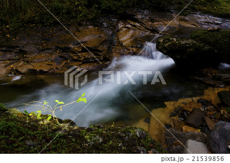 秋保大滝の上流に位置する二口渓谷せせらぎを聞きながら森林浴季節を感じる散策に最適な風景スポットライト 21539856