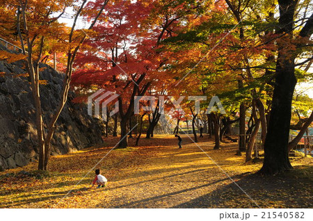 秋の盛岡城跡公園で 21540582