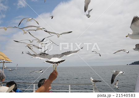 三陸の旅　浄土ヶ浜遊覧船 21540583