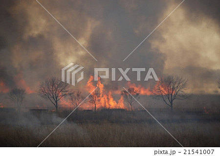 野焼き 21541007