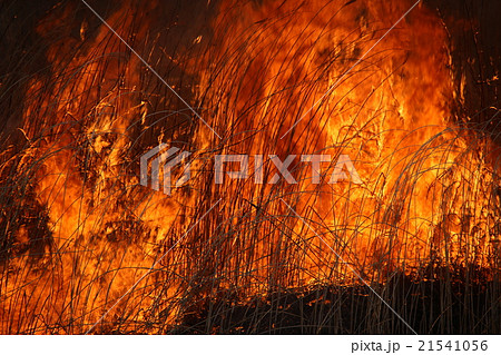 野焼き 21541056