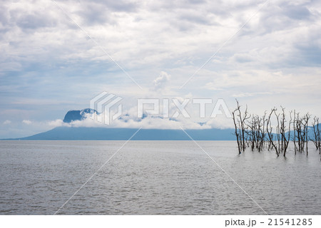 Landscape of Bako National Park, Malaysian Borneo 21541285