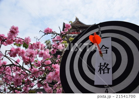 『合格』織田 信長ゆかりの 清州城と的と赤矢 『合格』織田 信長ゆかりの 清州城と的と赤矢 21541700