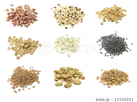 Legumes collection 21542021