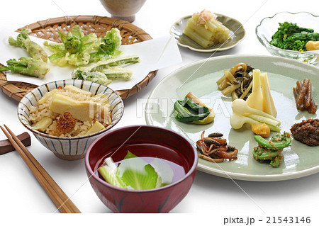 山菜料理 山菜料理 21543146