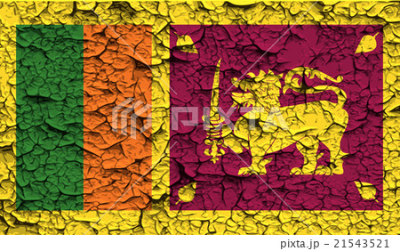 Flag of Sri Lanka with old texture. Vector Flag of Sri Lanka with old texture. Vector 21543521