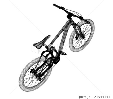 Mountain Bicycle sport 21544141