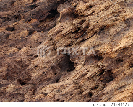 Old Damaged Wood 21544527