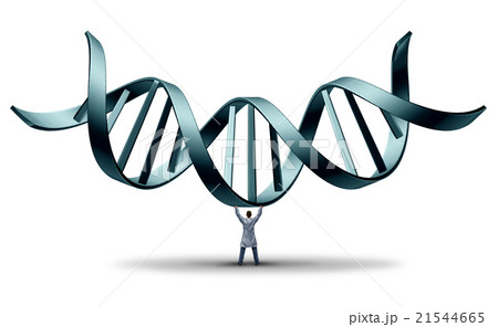 DNA Doctor 21544665