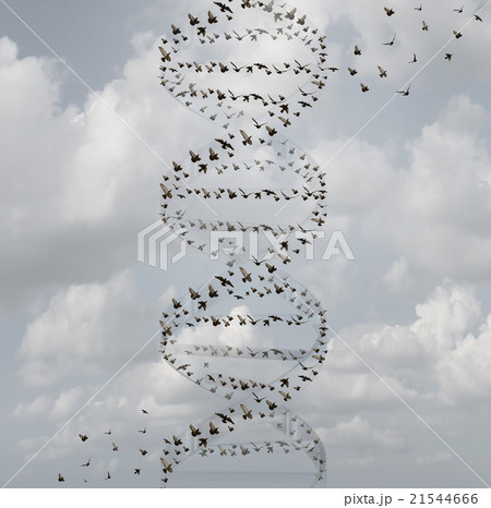 DNA In Nature 21544666