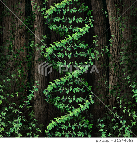 DNA Nature 21544668
