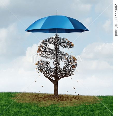 Economic Protectionism Policy 21544802