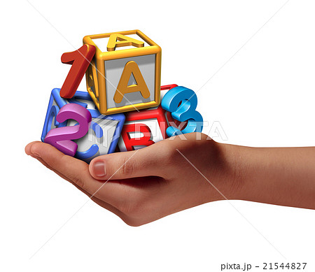 Education Support 21544827