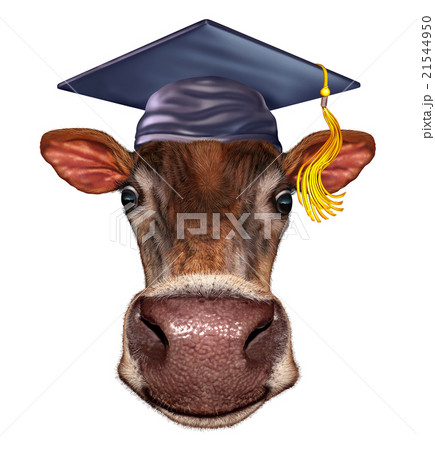 Farm School Farm School 21544950