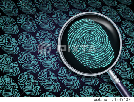 Identity Search Identity Search 21545488