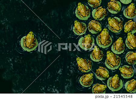 Individualism And Confidence Individualism And Confidence 21545548