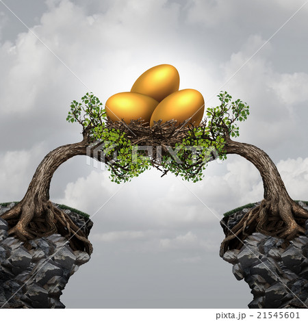 Investment Group Security Investment Group Security 21545601