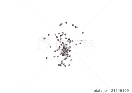 Poppy seeds isolated on white 21546509