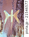 restroom (toilet) for woman sign, vintage wall. 21546577