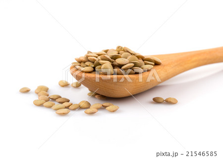 French green lentils in bowl 21546585
