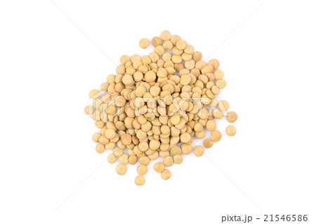 French green lentils 21546586