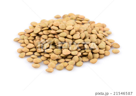 French green lentils 21546587