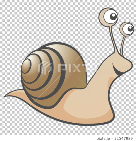 蝸牛 21547989