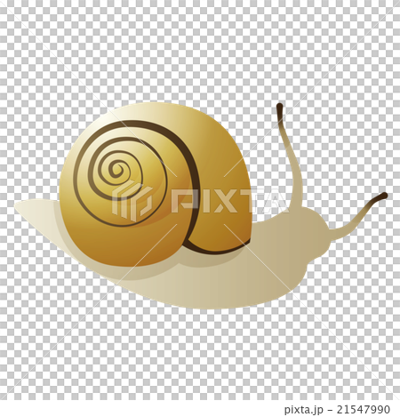 蝸牛 21547990