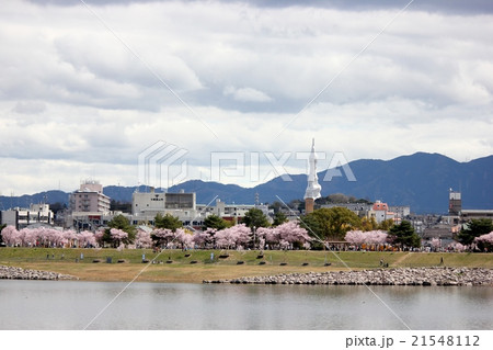 狭山池から見たPLの塔 21548112