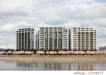 桜の中のマンション 21548271