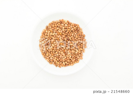 マハレブ(ワイルドチェリーの仁):Mahleb, whole マハレブ(ワイルドチェリーの仁):Mahleb, whole 21548660