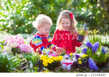 Kids planting flowers in blooming garden 21548697