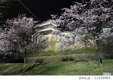 夜桜 上田城跡公園 夜桜 上田城跡公園 21549064