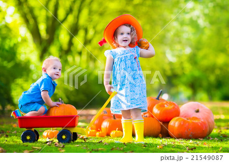 Kids at Halloween pumpkin patch Kids at Halloween pumpkin patch 21549087