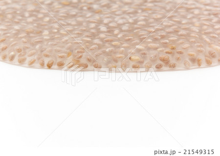 ホワイトチアシード:white chia seeds 21549315
