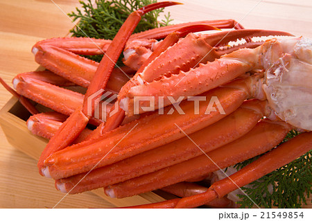 茹でズワイガニ 茹でズワイガニ 21549854