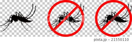 蚊子 蚊子 21550110