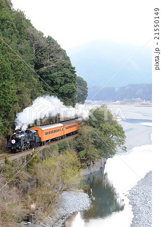春の川根路号 21550149