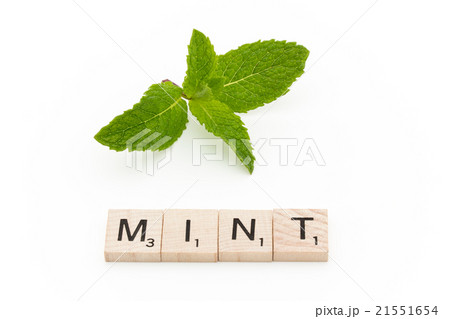 スクラブル文字：MINT 21551654