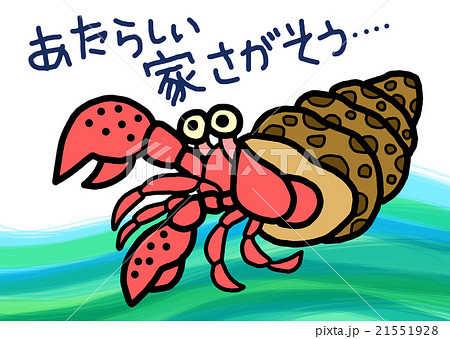 海の生物・ヤドカリ 海の生物・ヤドカリ 21551928