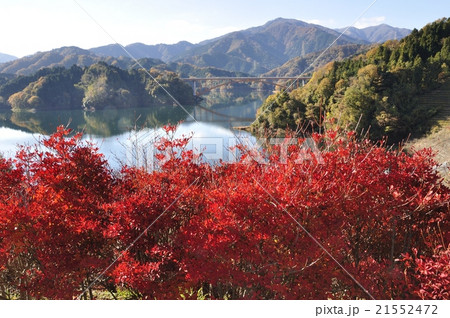 秋色の宮ヶ瀬湖 秋色の宮ヶ瀬湖 21552472