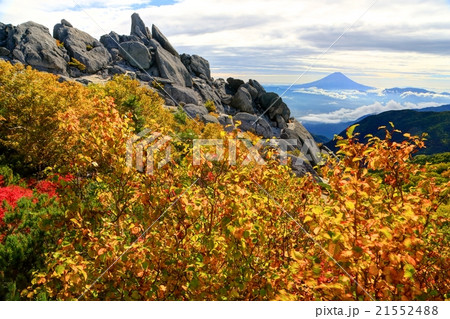 南アルプス・鳳凰山薬師岳の岩峰と富士山 南アルプス・鳳凰山薬師岳の岩峰と富士山 21552488
