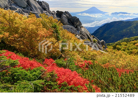 紅葉の南アルプス・薬師岳から富士山 紅葉の南アルプス・薬師岳から富士山 21552489
