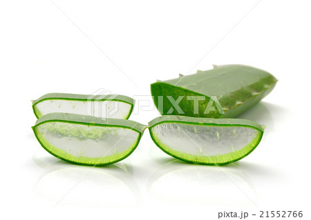 aloe vera fresh leaf. isolated over white 21552766