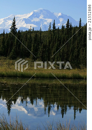 湖面に映るデナリ 21552886