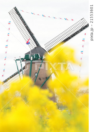 佐倉ふるさと広場 佐倉ふるさと広場 21553601