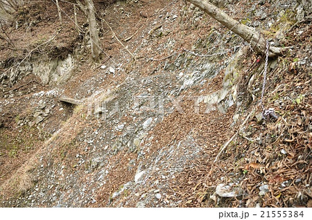 雨山峠へ向かう難所の道 21555384
