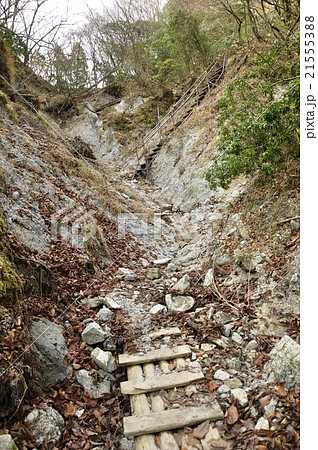 雨山峠へ向かう道 雨山峠へ向かう道 21555388