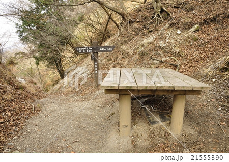 丹沢の道 雨山峠 丹沢の道 雨山峠 21555390